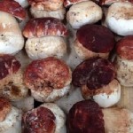 Export-wild-mushrooms