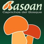 (c) Basoan.com